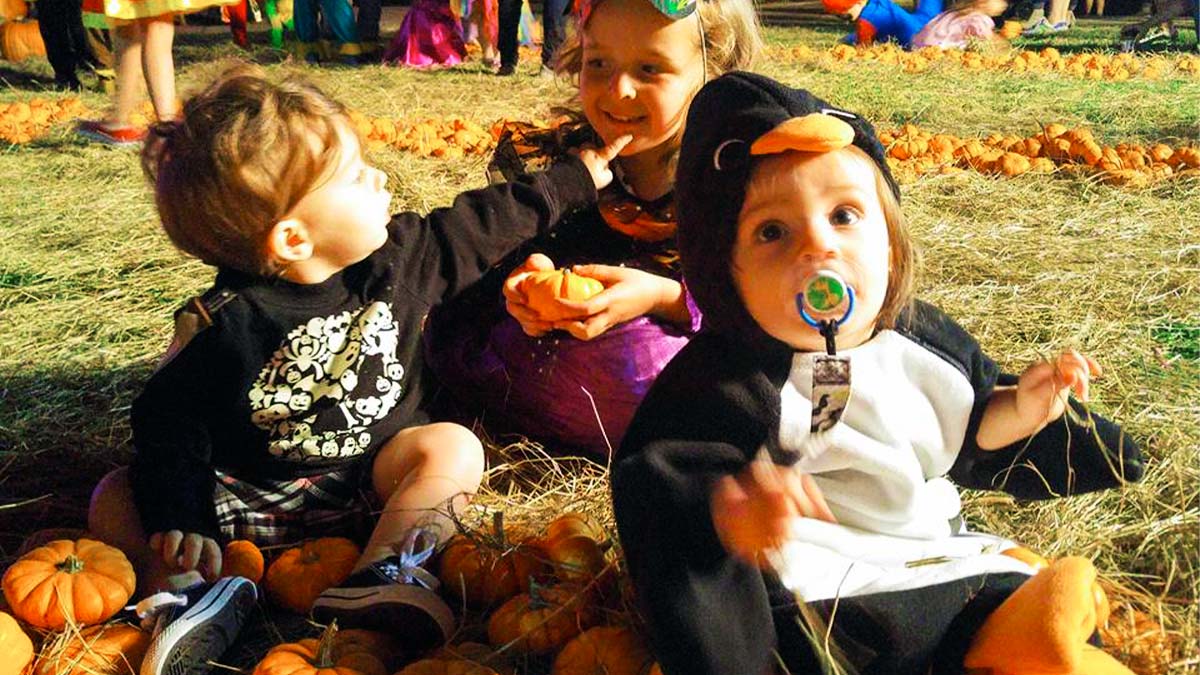children in costumes seated on grass playing with pumpkins at Ghost in the Oaks event in New Orleans, Louisiana, USA